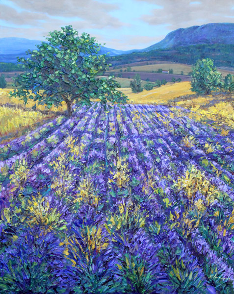 Valley Of Lavender 600px Orig